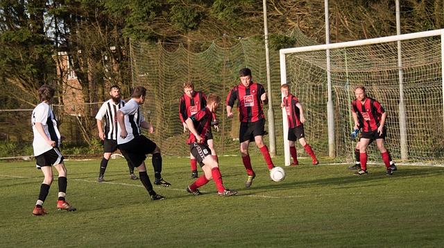 霍莱什传射 霍莱什传射