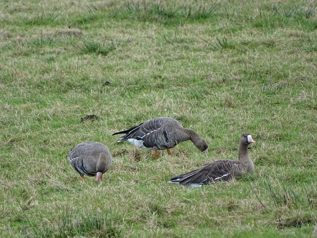 人信心的重 人信心的重