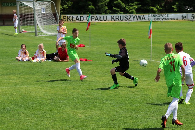 罚标准和公 罚标准和公