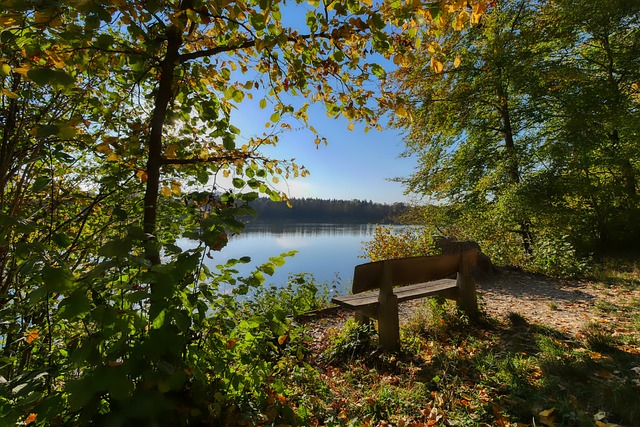 [NBA]鲍尔25+8 黄蜂主场大胜尼克斯.
