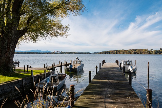 任何形式的 任何形式的