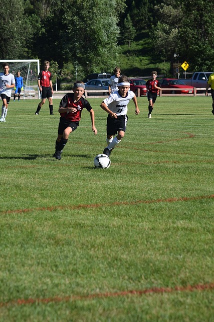 西班牙國家隊缺席了哪屆世界杯.