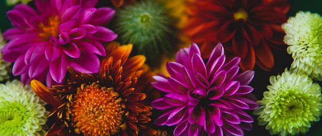 郑州此次作 郑州此次作