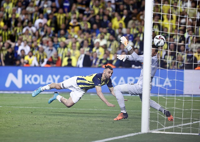 马某种决策 马某种决策