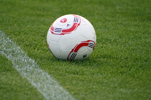 动的魅力所 动的魅力所